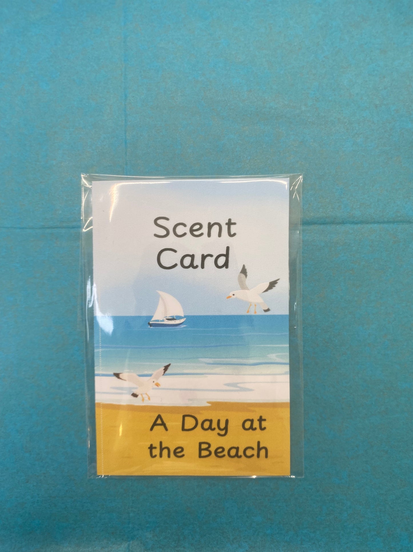 Reminiscence Activity Box - A day at the Beach