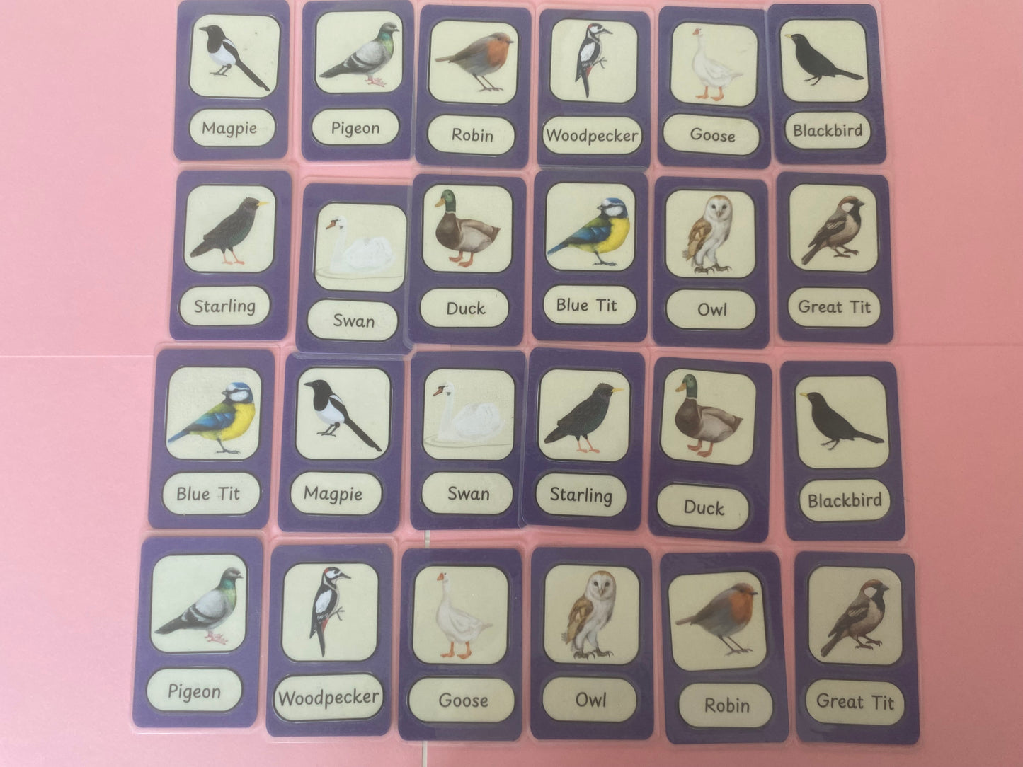 Memory Matching Bird Game