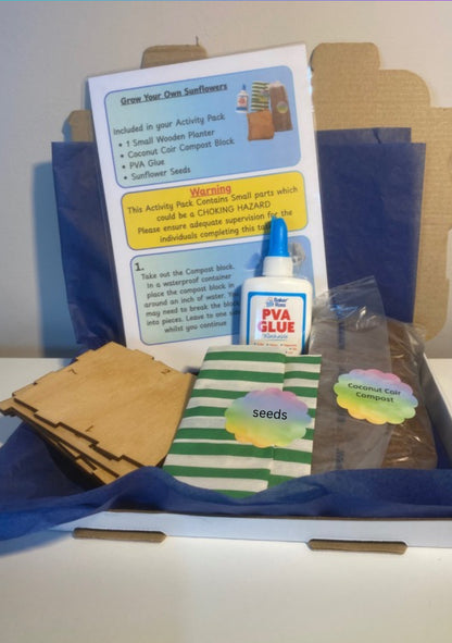 Grow Beans Kit