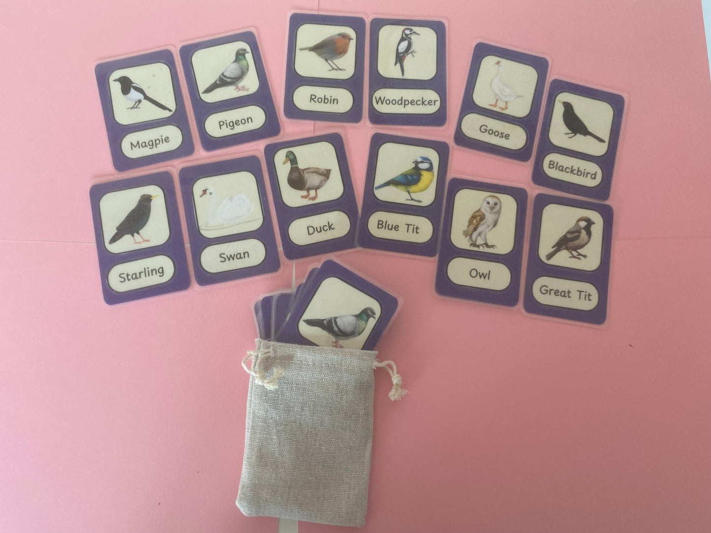 Memory Matching Bird Game