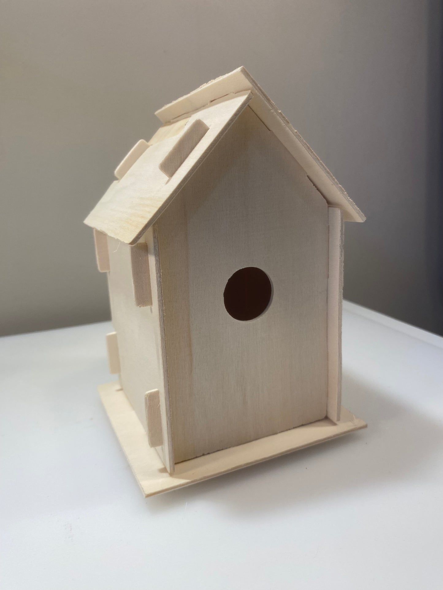 Bird Houses (10 pack)