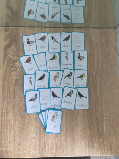 Memory Matching Bird Game