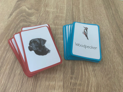 Memory Matching Bird Game