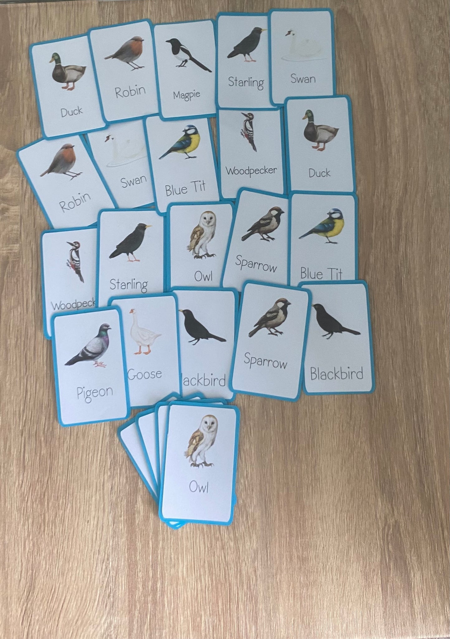Memory Matching Bird Game