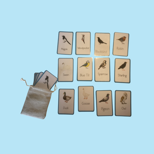 Memory Matching Bird Game